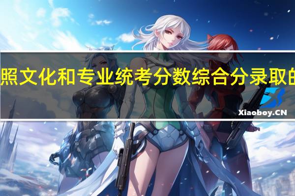 美术类按照文化和专业统考分数综合分录取的学校有哪些啊