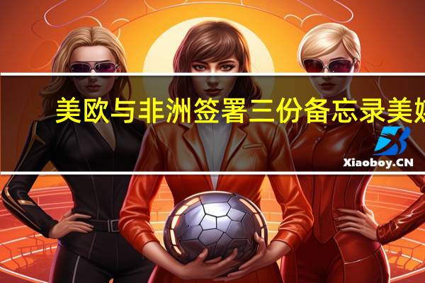 美欧与非洲签署三份备忘录美媒：欲与中国争关键矿产资源