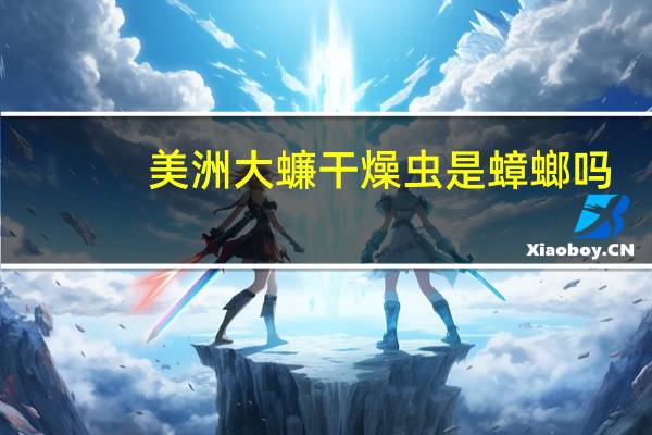 美洲大蠊干燥虫是蟑螂吗（美洲大蠊干燥虫）