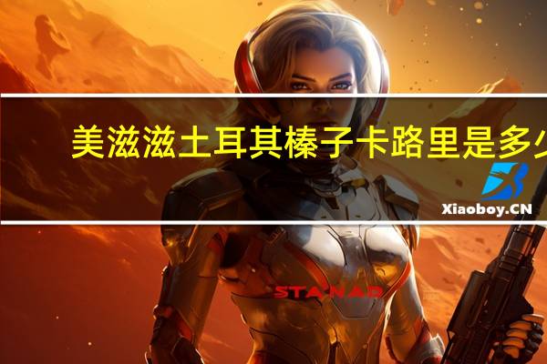 美滋滋 土耳其榛子卡路里是多少