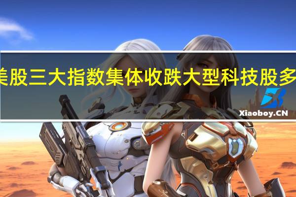 美股三大指数集体收跌 大型科技股多数上涨