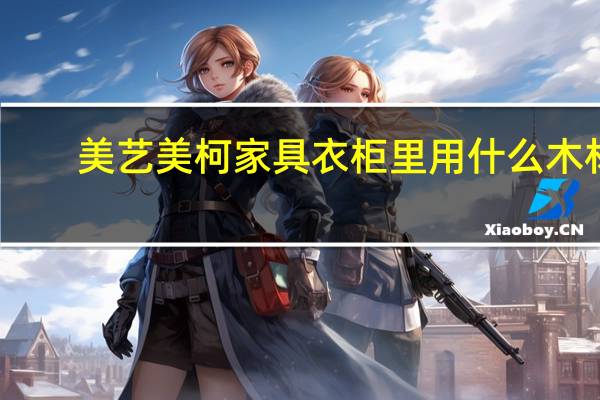 美艺美柯家具衣柜里用什么木材