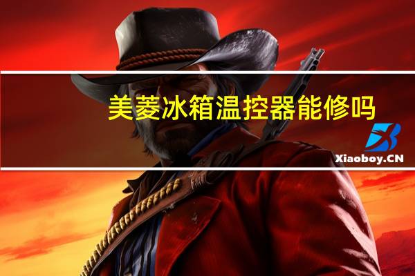 美菱冰箱温控器能修吗（美菱冰箱温控器）
