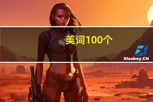 美词100个（美词）
