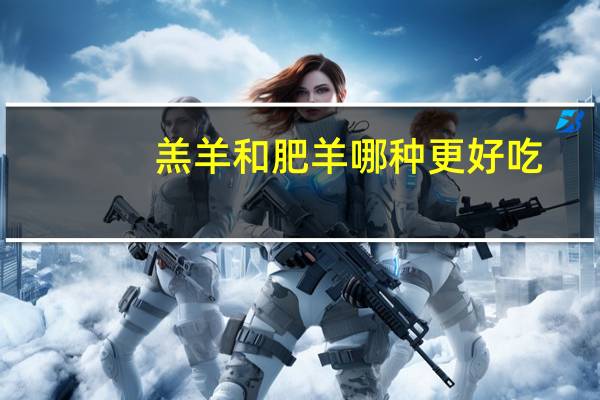 羔羊和肥羊哪种更好吃