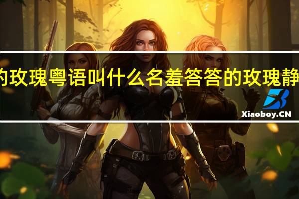 羞答答的玫瑰粤语叫什么名 羞答答的玫瑰静悄悄的开简谱