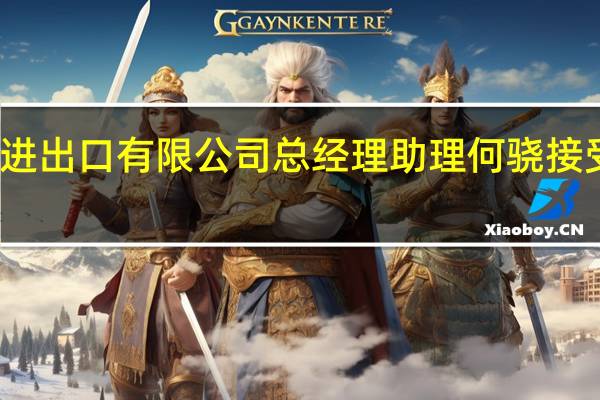 群星进出口有限公司总经理助理何骁接受审查调查