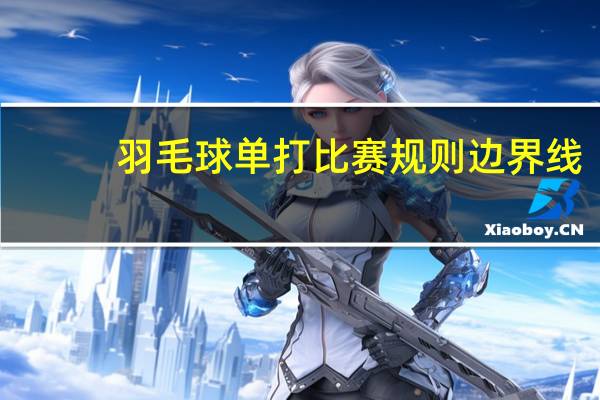 羽毛球单打比赛规则边界线（羽毛球单打比赛规则）