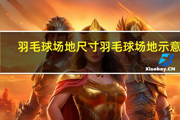 羽毛球场地尺寸 羽毛球场地示意图