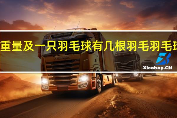 羽毛球的重量及一只羽毛球有几根羽毛 羽毛球有多少根羽毛