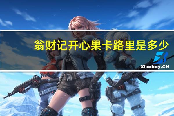 翁财记 开心果卡路里是多少