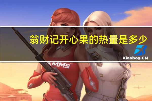 翁财记 开心果的热量是多少