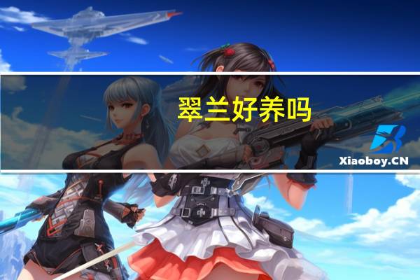 翠兰好养吗