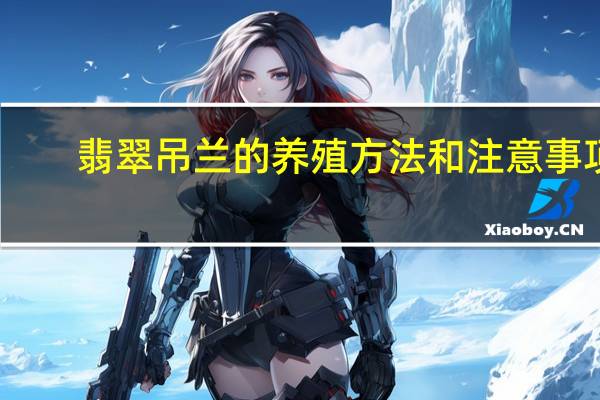 翡翠吊兰的养殖方法和注意事项