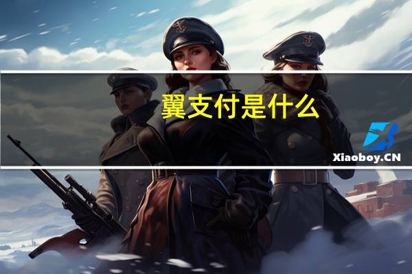 翼支付是什么