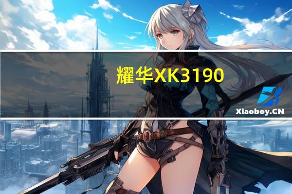 耀华XK3190-A9+P称重仪表如何标定