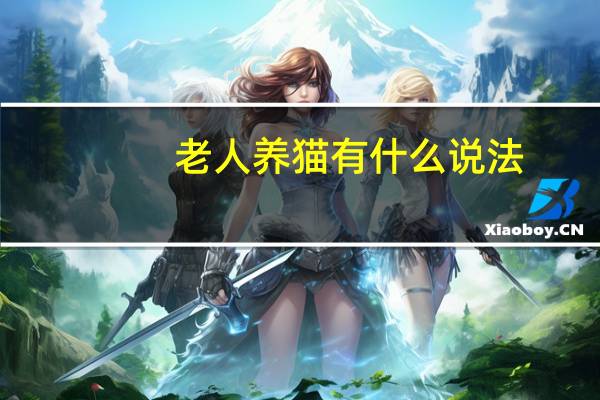 老人养猫有什么说法