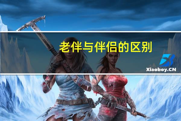 老伴与伴侣的区别