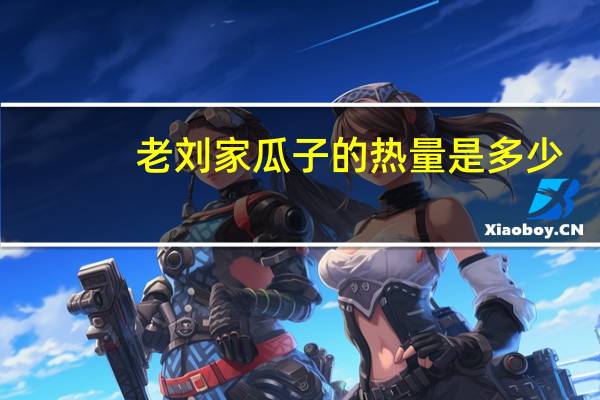 老刘家 瓜子的热量是多少