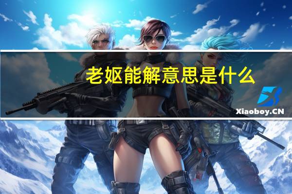 老妪能解意思是什么