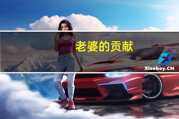 老婆的贡献(完整版)钻孔大师