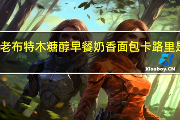 老布特 木糖醇早餐奶香面包卡路里是多少