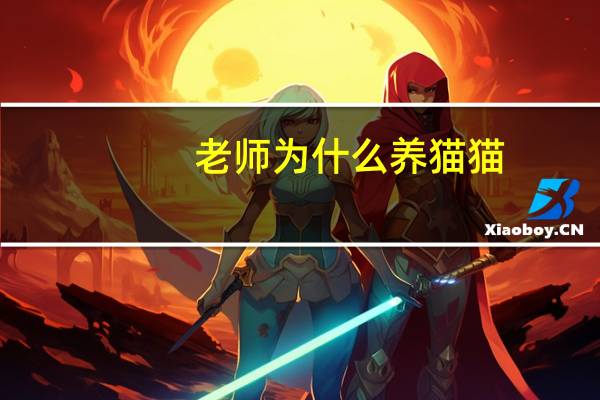 老师为什么养猫猫