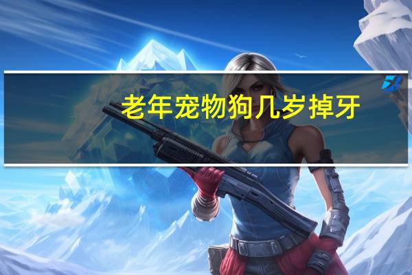 老年宠物狗几岁掉牙