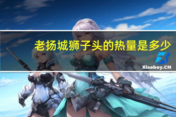 老扬城 狮子头的热量是多少