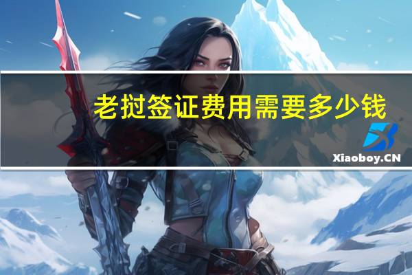 老挝签证费用需要多少钱（老挝签证费用）