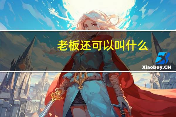 老板还可以叫什么