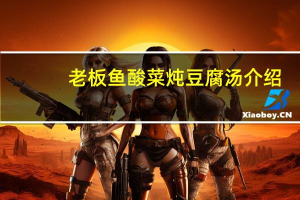 老板鱼酸菜炖豆腐汤介绍