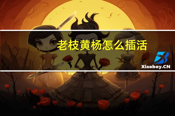 老枝黄杨怎么插活