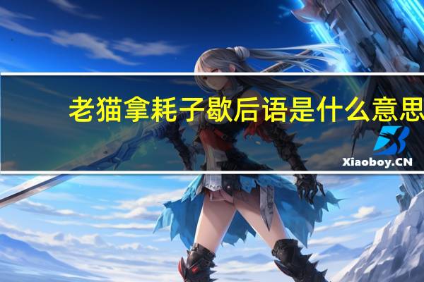 老猫拿耗子歇后语是什么意思