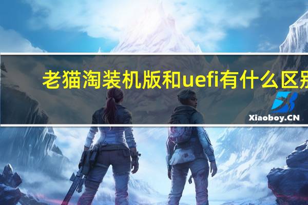 老猫淘装机版和uefi有什么区别？