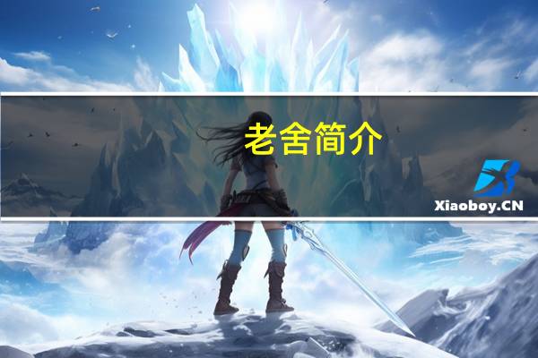 老舍简介(星豚泪简介)