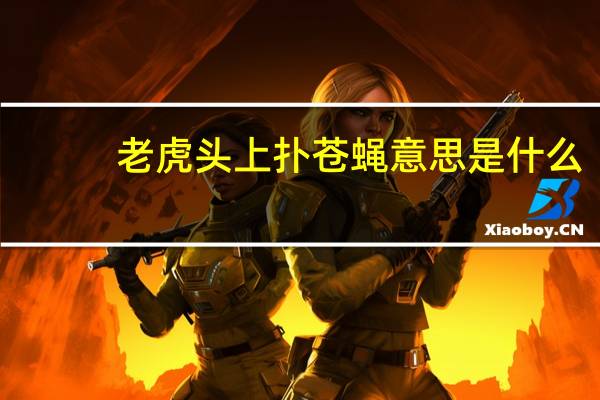 老虎头上扑苍蝇意思是什么