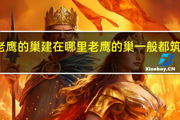 老鹰的巢建在哪里 老鹰的巢一般都筑在哪里