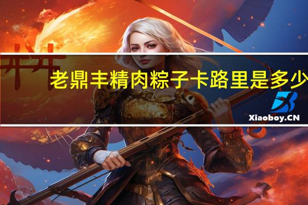 老鼎丰 精肉粽子卡路里是多少