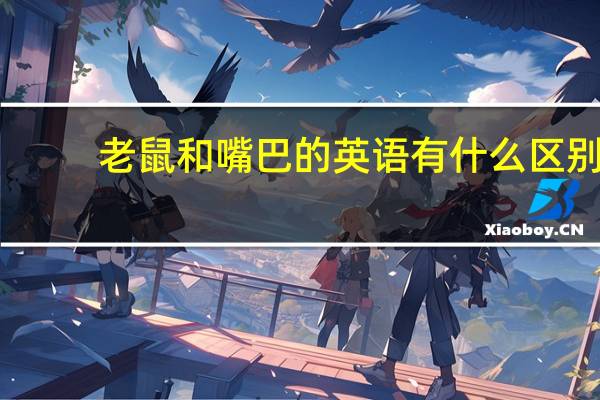 老鼠和嘴巴的英语有什么区别