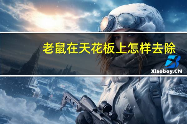 老鼠在天花板上怎样去除
