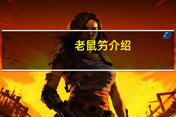 老鼠竻介绍