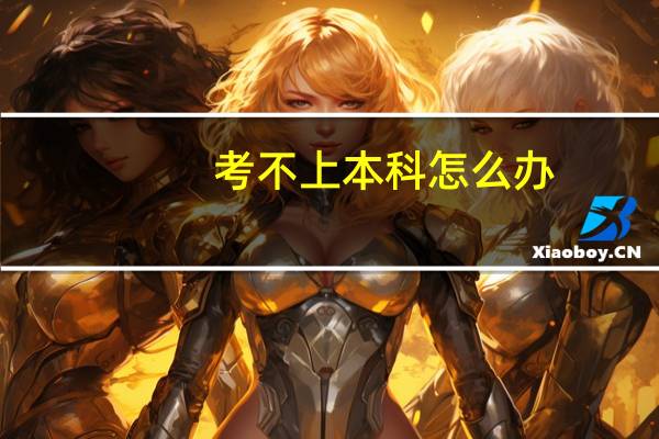 考不上本科怎么办