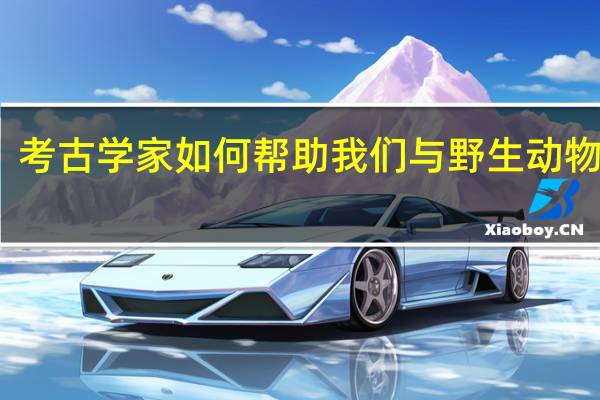 考古学家如何帮助我们与野生动物共处