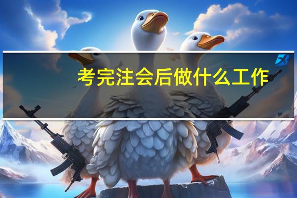 考完注会后做什么工作