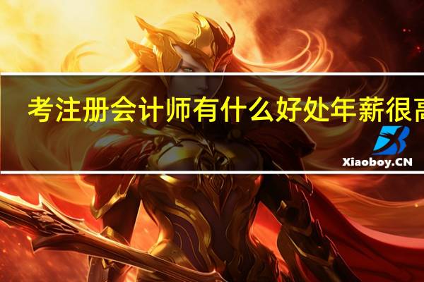 考注册会计师有什么好处 年薪很高吗