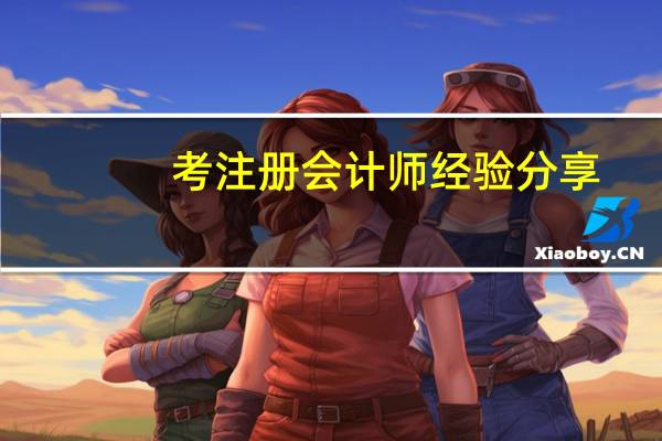 考注册会计师经验分享