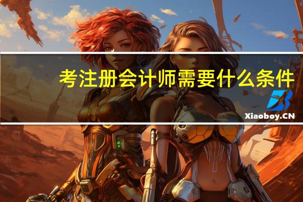 考注册会计师需要什么条件