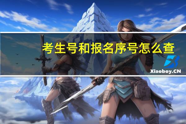 考生号和报名序号怎么查