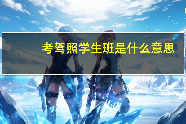 考驾照学生班是什么意思